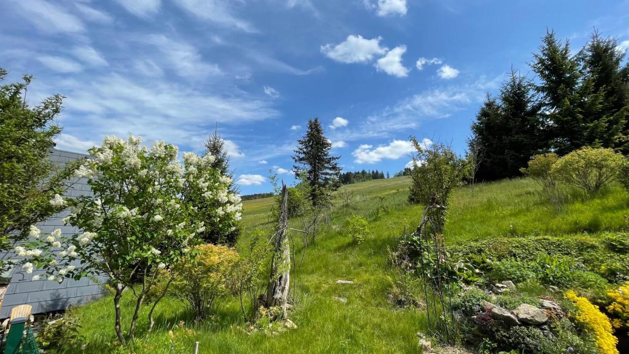 Fluegels Rebi-Baude Villa Rechenberg-Bienenmuhle Bagian luar foto