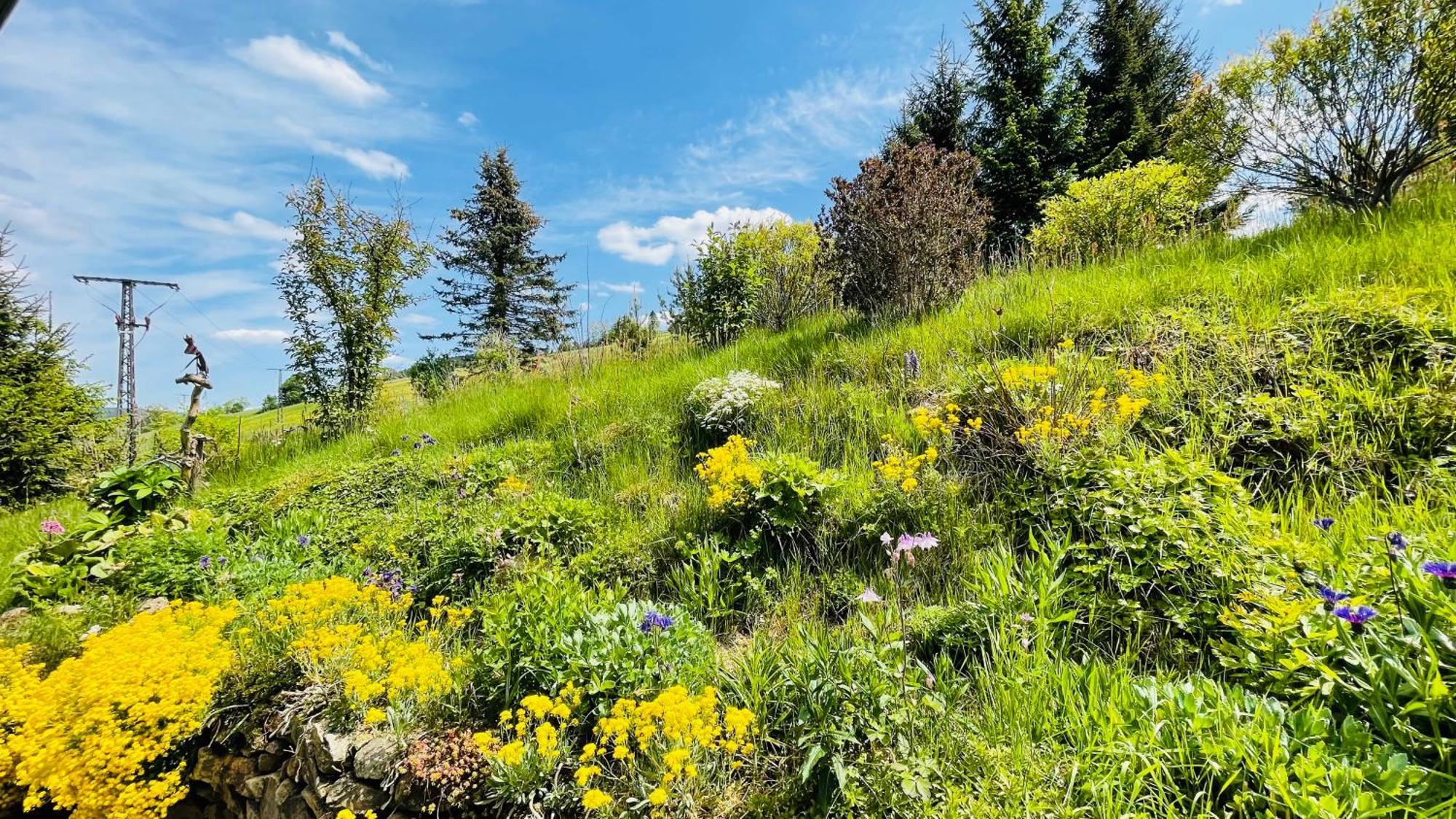 Fluegels Rebi-Baude Villa Rechenberg-Bienenmuhle Bagian luar foto